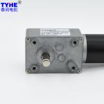 Dual Shaft 24V DC Micro Worm Gear Motor 90 Degree Right Angle