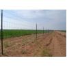Buy cheap Galvanized Iron 2.5mm horse Mesh Fencing Grassland Fencing corrosion proof from wholesalers
