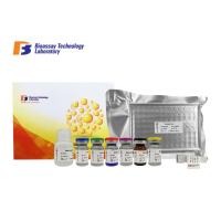 Buy cheap Sandwich Immunosorbent Human ELISA Kit ASB2 96 Well Plate 3.04ng/L Sensitivity product