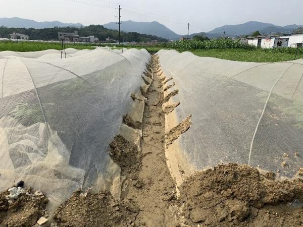 Buy cheap 200Gsm Mulching Sheet For Agriculture from wholesalers