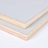 Buy cheap WBP Birch Plywood Sheet 12mm 15mm 18mm 21mm Plywood Template from wholesalers