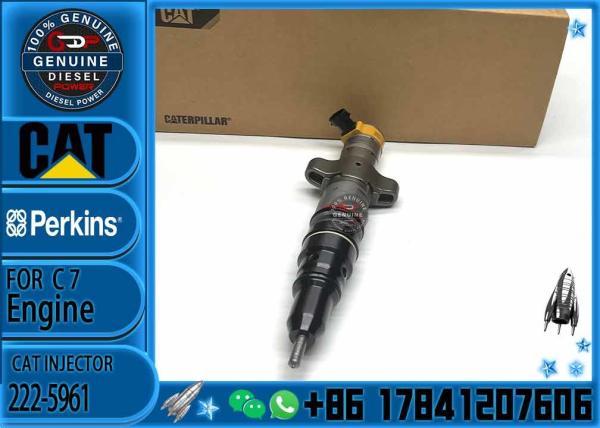 Diesel Engine Common Rail Fuel Injector 222-5961 235-5261 238-8901 241-3228 241
