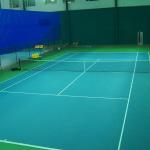 Relle Multi-Purpose Stocklot Badminton Court Mat CE/SGS Certified Eco Vinyl for