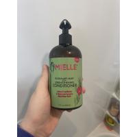 Buy cheap Hair Strengthening Rosemary Mint Conditioner Biotin Shampoo 12oz product