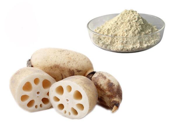 Buy cheap Meal Replacement Pure Natural Lotus Root Vegetable Extract Powder from wholesalers
