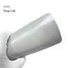 Buy cheap K066 Gray Lily TPU Color Car Paint Protection Film Cover Wrap Car from wholesalers