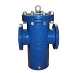 Online Support Saltwater and Freshwater Basket Strainers for Food Beverage