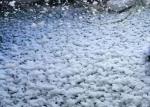 Fake Snow Flake Machine For Stage Special Effect , Industrial Snow Maker 1200w