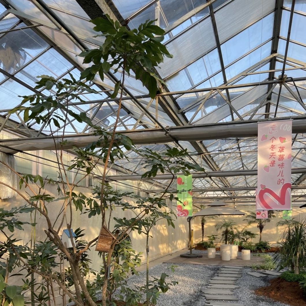 Affordable Glass Greenhouse with Hydroponic Flower System