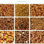 Dry Wet Pet Dog Food Pellet Machine Stainless Steel