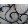 Buy cheap Wrought Iron Security Doors Glass Agon Filled 22*64 inch Size Shaped Wrought Iron Exterior Doors from wholesalers