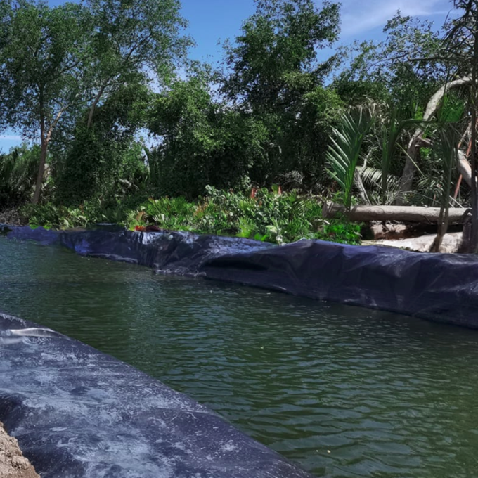 Waterproof HDPE Liner for Fish Farm Pond Customized Thickness Black White Blue Green