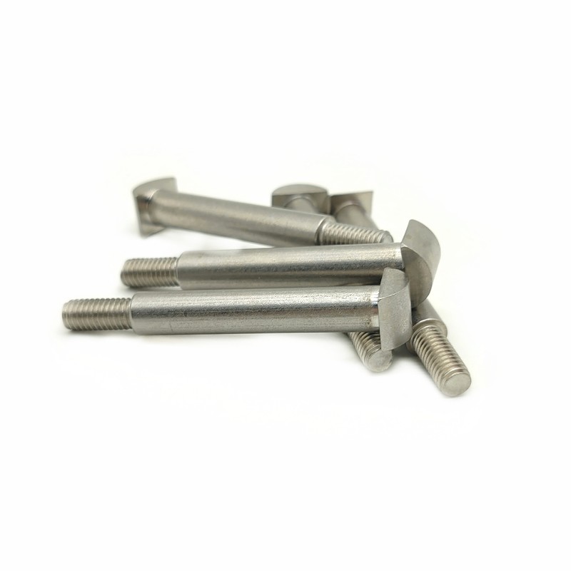 Manufacturers Customized Stainless Steel T-Shaped Step Screws T-Shaped Bolt With Curved Surface