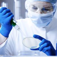 Buy cheap ISO14001 6Mil Nitrile Medical Examination Gloves Disposable Safety Gloves product