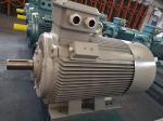 90kw Industrial AC 3 Phase Induction Motor 125hp 1480rpm Electric Motor