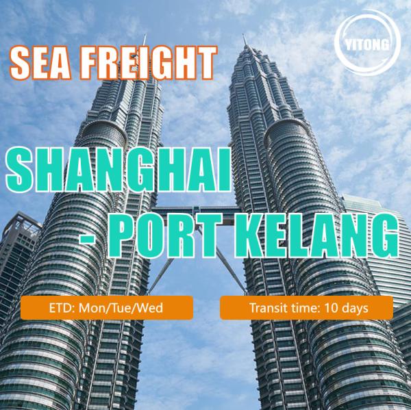 Buy cheap Sea Freight From China to Southeast Asia Indonesia Malaysia Singapore Philippines Vietnam from wholesalers