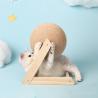 Buy cheap Cat Scratching Ball Toy Suitable Training Sisal Rope Board Crushing Foot Stocked Pet from wholesalers