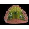 Buy cheap Mouthpieces Dental Tooth Orthodontic Appliances , Orthodontic Ligature Ties from wholesalers