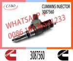 N14 Series Engine Common Rail Fuel Injector 4307516 3411691 3087560 3411765 for