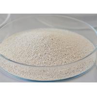 Buy cheap Lipase Leather Enzyme Powder / Liquid Catalyze The Hydrolysis Of Lipids product