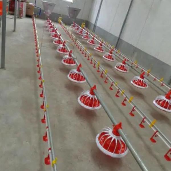 Buy cheap 380v Poultry Farm Equipment 3 pan/3m Automatic Pan Feeding System from wholesalers