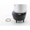Buy cheap Rubber / Steel Material Mercedes Air Ride Suspension A1663206813 GL X166 from wholesalers