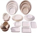 6 Inch Disposable Bagasse Compostable Square Paper Plates Large Square Dinner