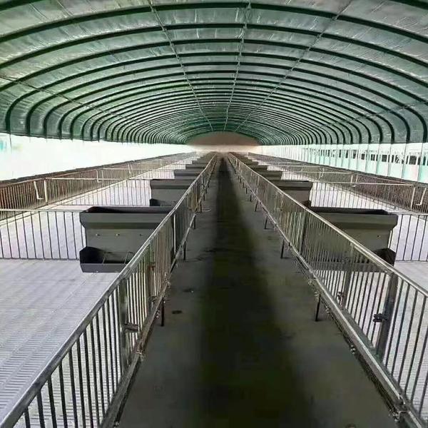 Buy cheap Chicken Cages Heaters Poultry Farm Plastic Film Greenhouse Agricultural Automatic from wholesalers