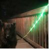 Buy cheap Super Bright Illuminated Dog Leash Runs Over 7 Hours For Dogs Walking Training from wholesalers