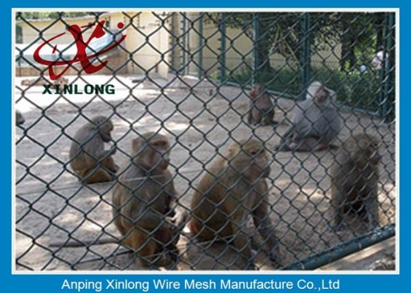 Buy cheap PVC Coated Chain Link Fence For Building Site / Courtyard / Park from wholesalers