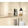 Buy cheap Glazed Wall Spanish Outdoor Frost Proof Porcelain Tiles 400x800 Mm Size from wholesalers