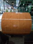 Wall Cladding Interior Decoration Wood Grain Steel Coils Pre-Painted Galvanised