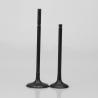 Buy cheap GA15 Truck Accessories Intake Exhaust Engine Valve 13201-72Y00 13202-72Y00 from wholesalers