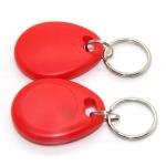 Proximity LF RFID Key Fob Tag Keychain Read / Write For Hotel Door Mangement
