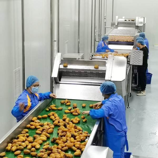 Buy cheap 220V / 380V SUS304 Mango Jam Processing Line For Finished Product 10 - 200T/D from wholesalers