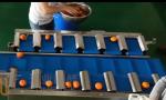 40BPM 10 Head 14 Head Fruit Multihead Weigher Tangerine Orange Belt Conveyer