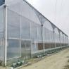 Buy cheap Hydroponic Growing Systems Greenhouse Low Cost Greenhouse Agriculture Plastic Greenhouse from wholesalers