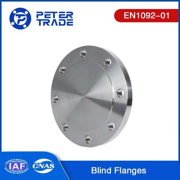 EN1092-01 TYPE 05 A105 Carbon Steel Blind Flange PN6 BLFF Flat Face For