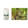 Buy cheap Promote Plant Growth CY30 Bacillus Velezensis Biologcal Fertilizer in Liquid Form from wholesalers