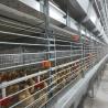 Buy cheap H Frame 4 Tiers Meat Chicken Broiler Cage 136 Birds Per Set from wholesalers