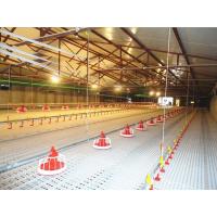 Buy cheap PSF Goat Farming Plastic Flooring 50mm Plastic Slatted Flooring For Sheep product