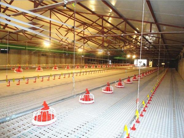 Buy cheap PSF Goat Farming Plastic Flooring 50mm Plastic Slatted Flooring For Sheep from wholesalers