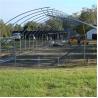 Buy cheap Width 10m 8m Tunnel Plastic Sawtooth Top Vent Greenhouse For Strawberry Growing from wholesalers