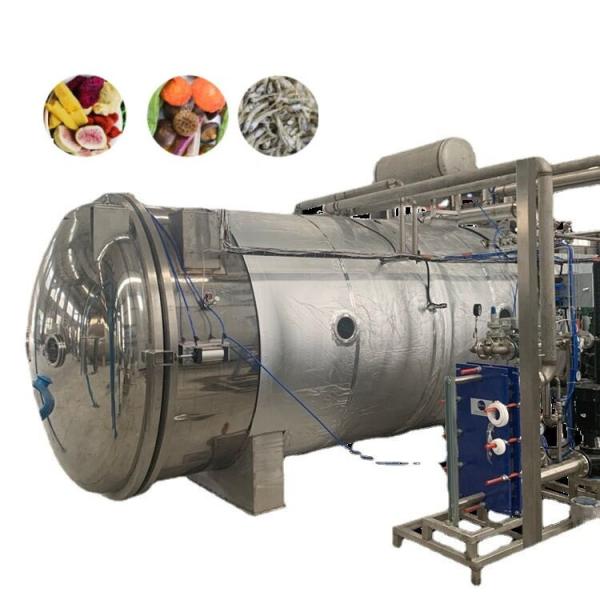 Buy cheap 20m2 Commercial Freeze Drying Machine 34 Trays For Vegetable Fruit from wholesalers