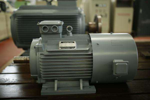 AC Permanent Magnet Generator Alternator Low Noise / Maintenance For Wind