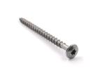 Torx Head Self Tapping Screw Stainless Steel