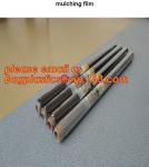 HOTICULTURAL MULCH FILM,AGRICULTURAL PE FILM,MARKET GARDENERS CLOCHE FILM,PE