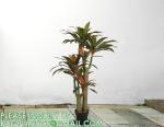 Dracaena Silk Plant Artificial 5ft Faux House Plants Evergreen Dracaena