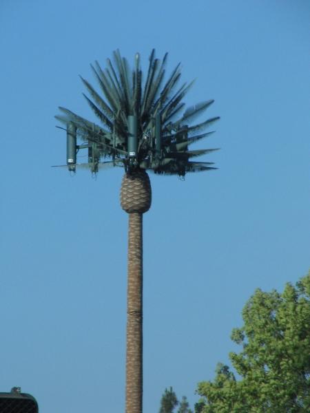 Buy cheap Single pole GSM Camouflaged Pine Tree Cell Tower from wholesalers