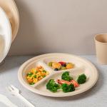 Round Biodegradable Bagasse Plate 3 Grid